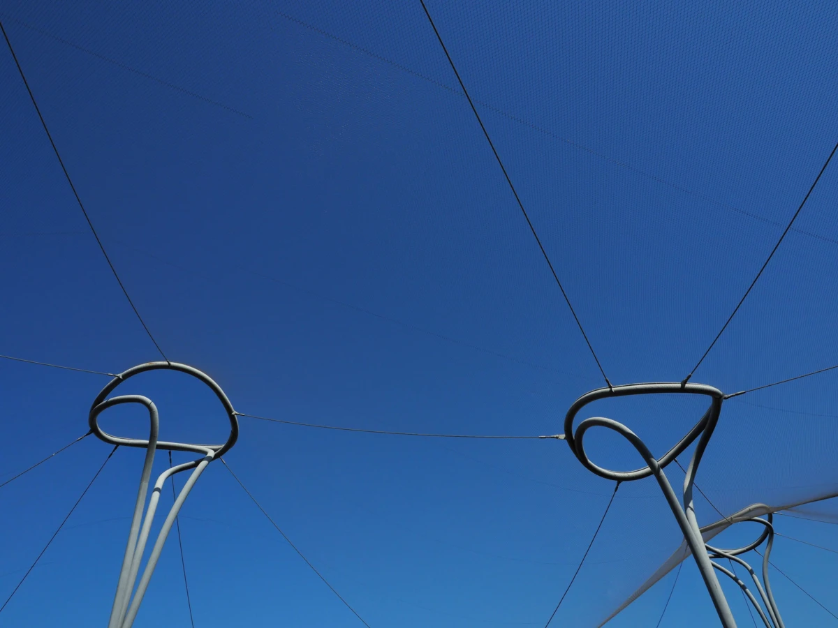 Two looping metal frameworks connected by tension cables against a clear blue sky.
