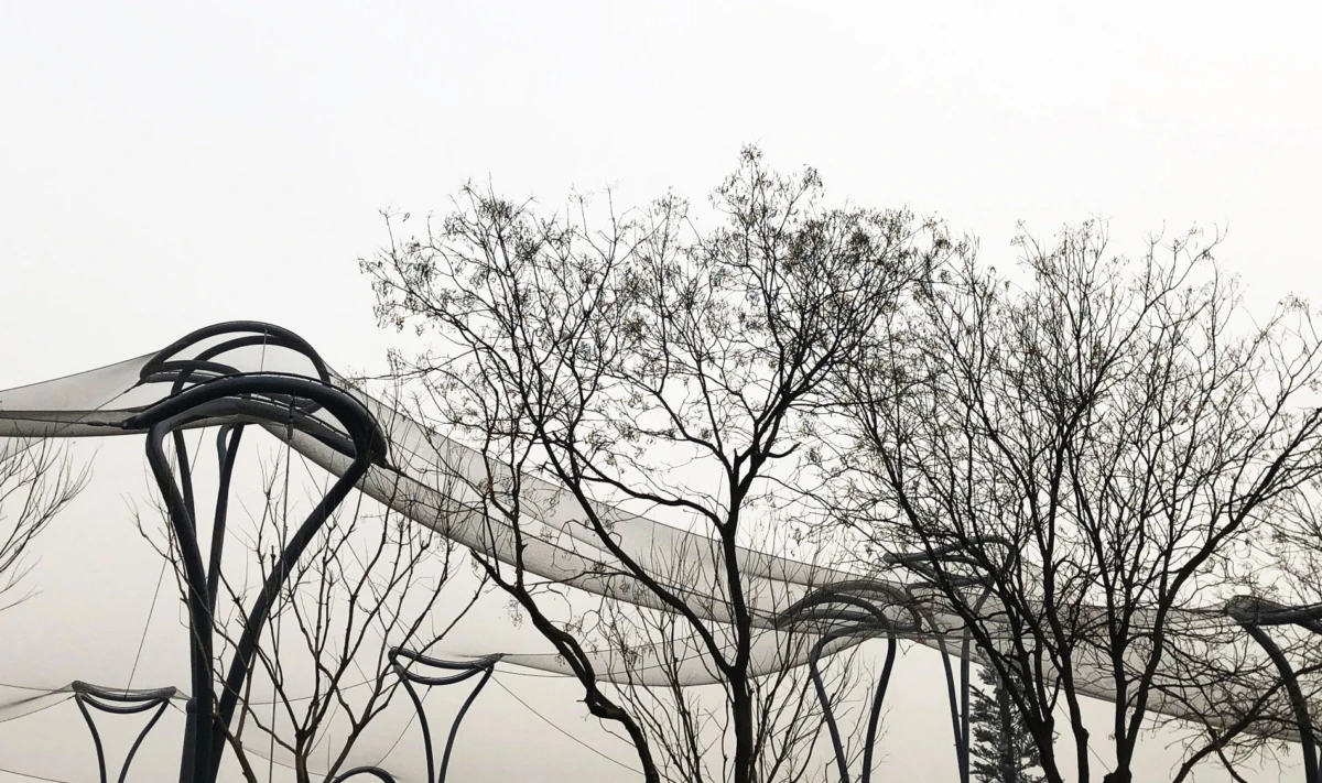Abstract metal arches rise among bare trees in an outdoor park.