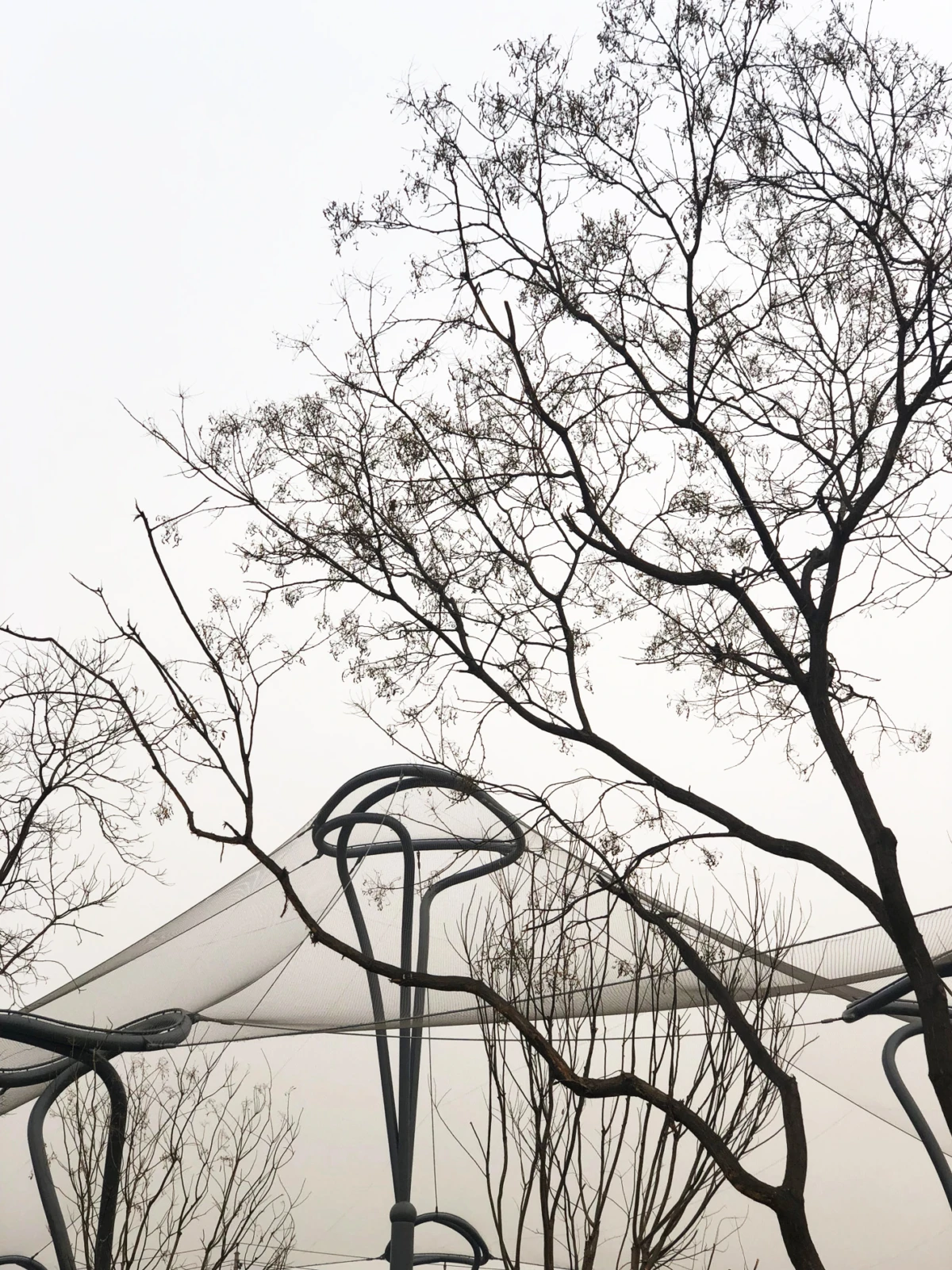 Leafless trees surround a metal playground climbing frame with curved bars under an overcast sky.