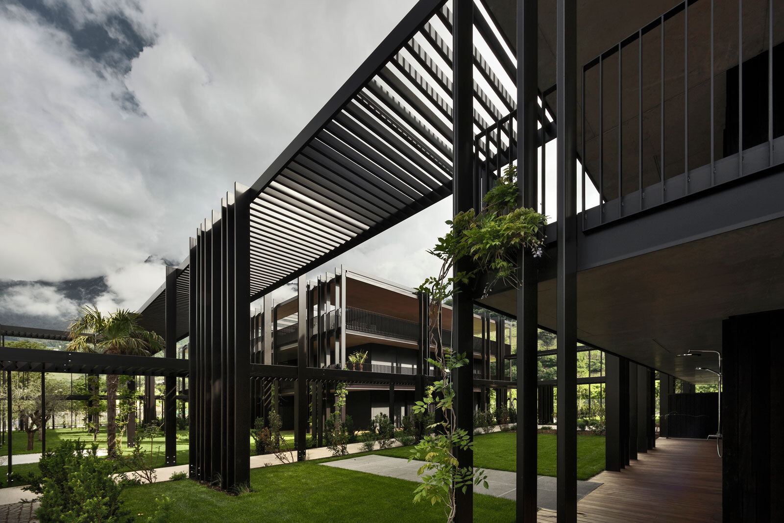 397 dmaa ANTONIANUM DR15528 B Oskar Da Riz