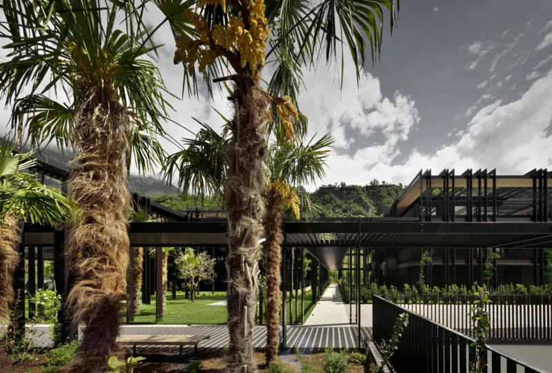 Contemporary courtyard with black metal pergolas, tall palm trees, and a central walkway; bench visible on the left.
