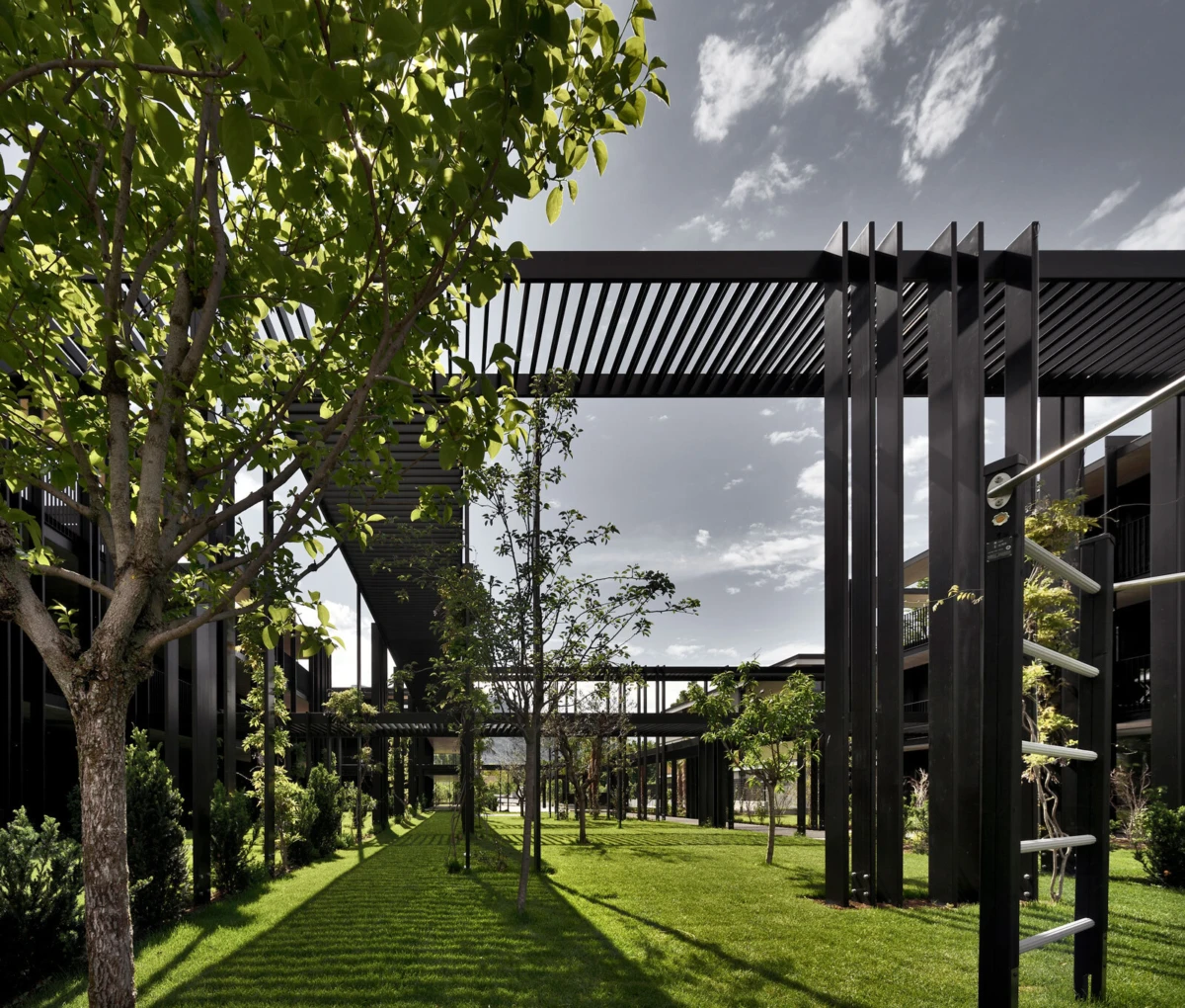 Modern black steel pergola framework over a grassy courtyard, lined with trees and casting long shadows.