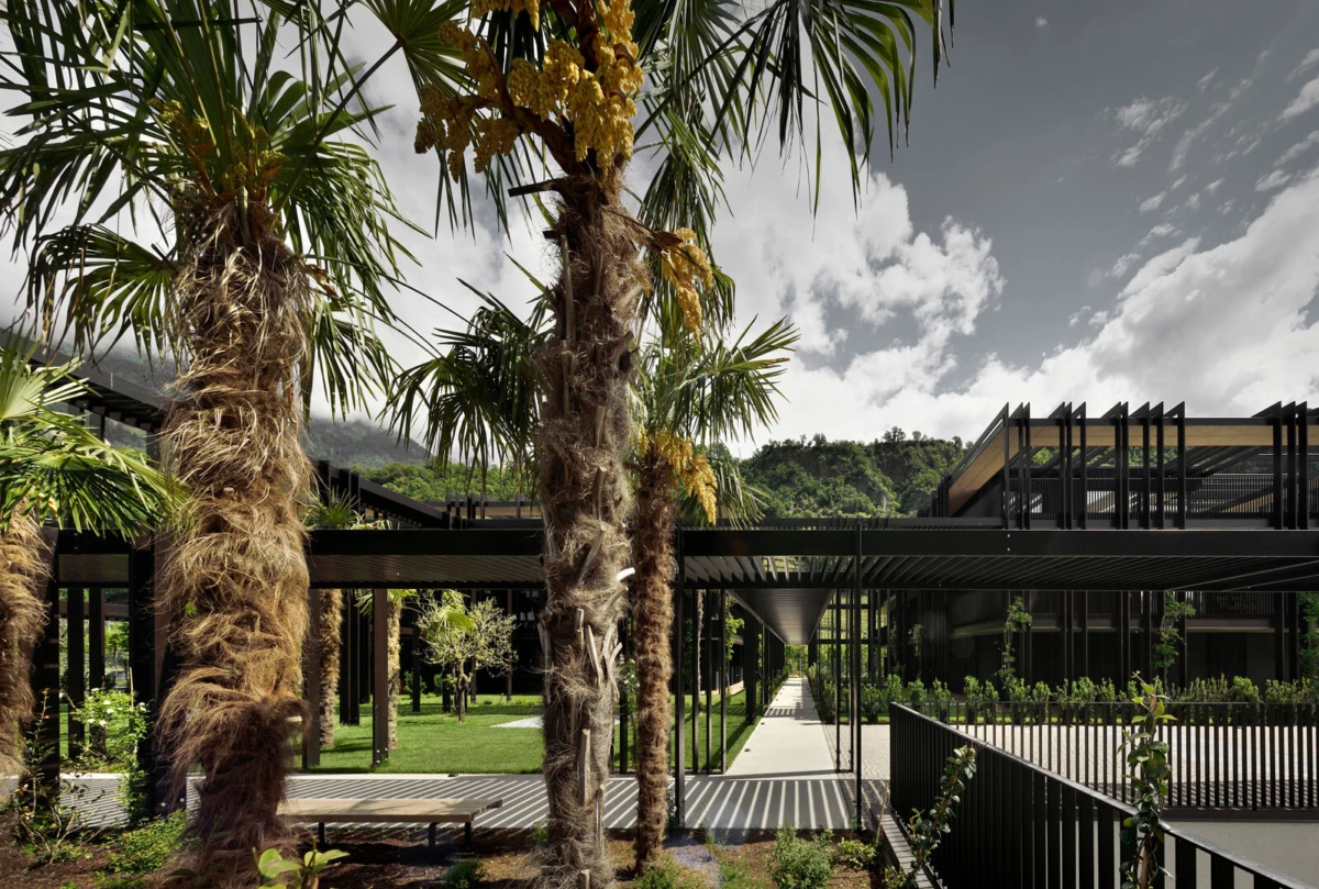 Contemporary courtyard with black metal pergolas, tall palm trees, and a central walkway; bench visible on the left.