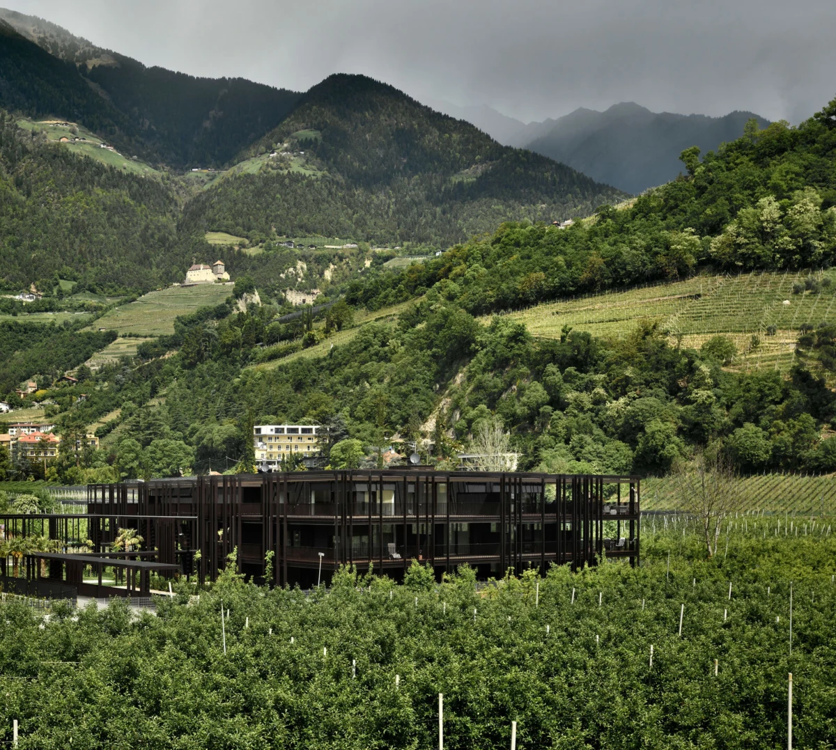 Dark metal-framed building under construction amid rows of grapevines in a hillside vineyard, with terraced hills and forested mountains in distance.