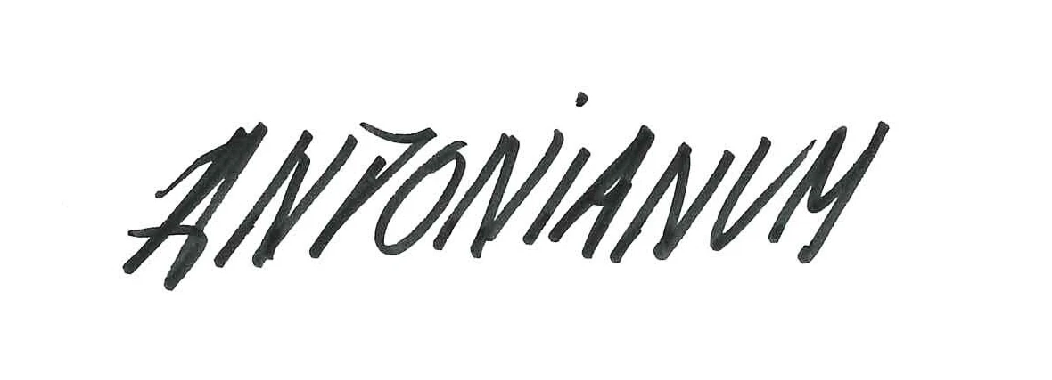 Handwritten signature reading ANTONIANNY on white background