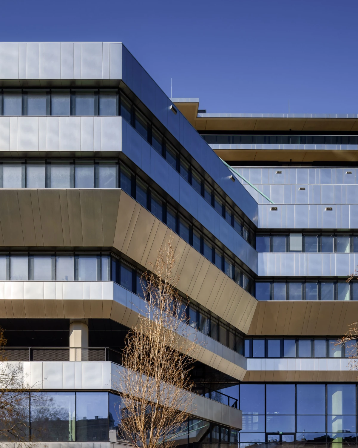 Modern glass-and-metal office building with stacked, cantilevered levels; leafless trees in foreground against a blue sky.