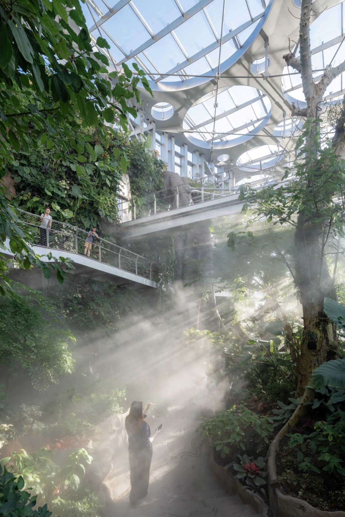 Person standing in a misty indoor botanical conservatory with a glass ceiling, taking a photo amid sunbeams and lush tropical plants.