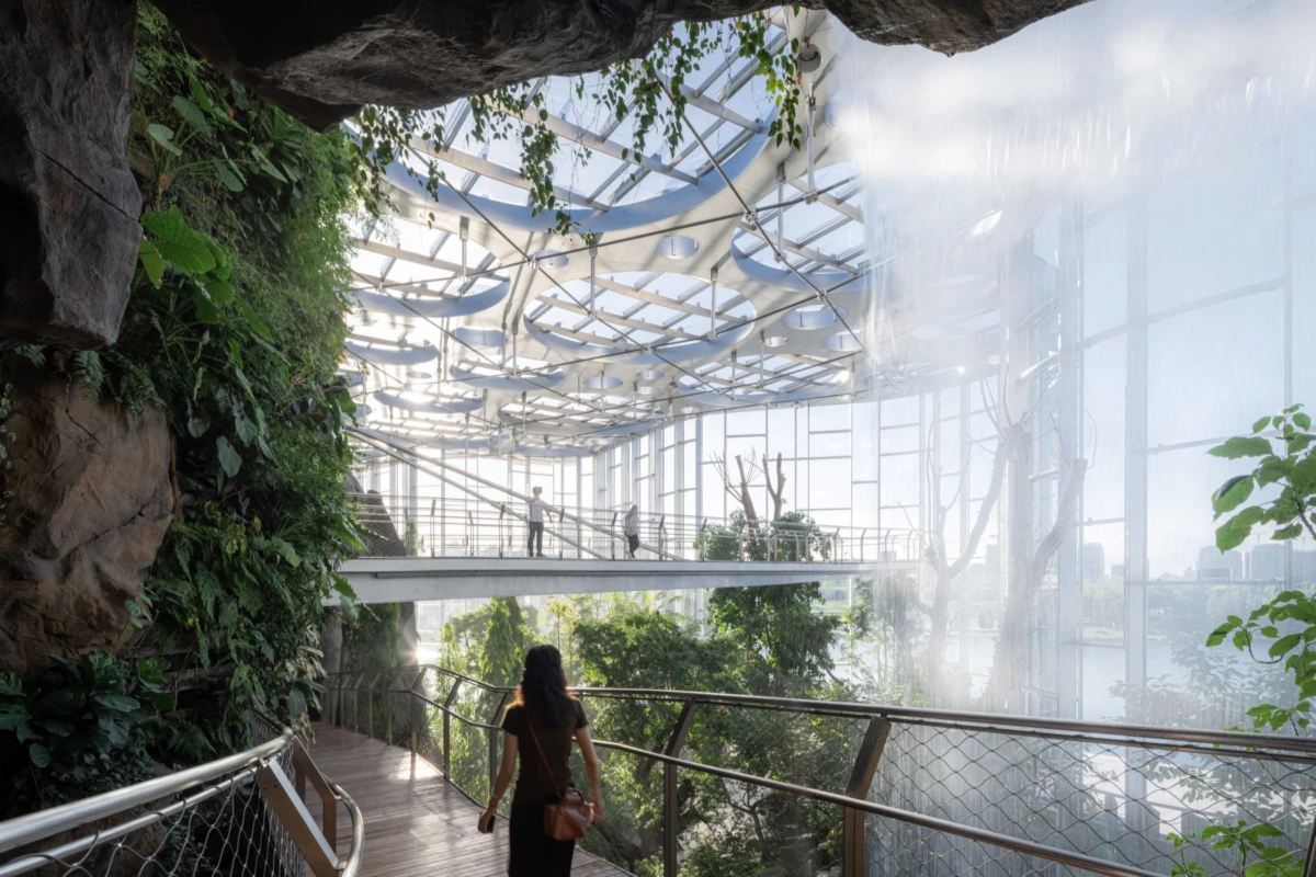 Person walks along a wooden boardwalk inside a glass greenhouse with a rocky wall and dense tropical plants.