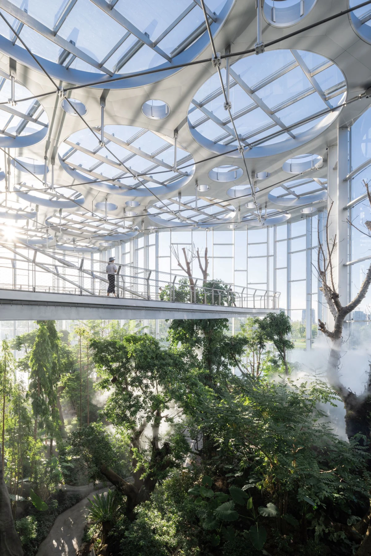 Person standing on an elevated glass walkway inside a futuristic glass conservatory, overlooking a dense indoor forest.
