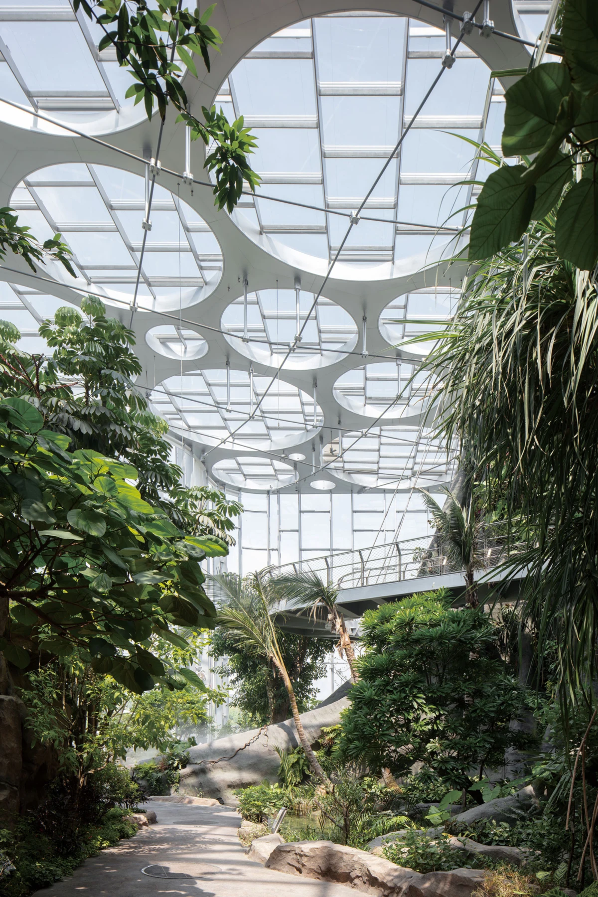 Indoor botanical conservatory with a glass ceiling and circular skylight rings; lush tropical plants along a paved path.