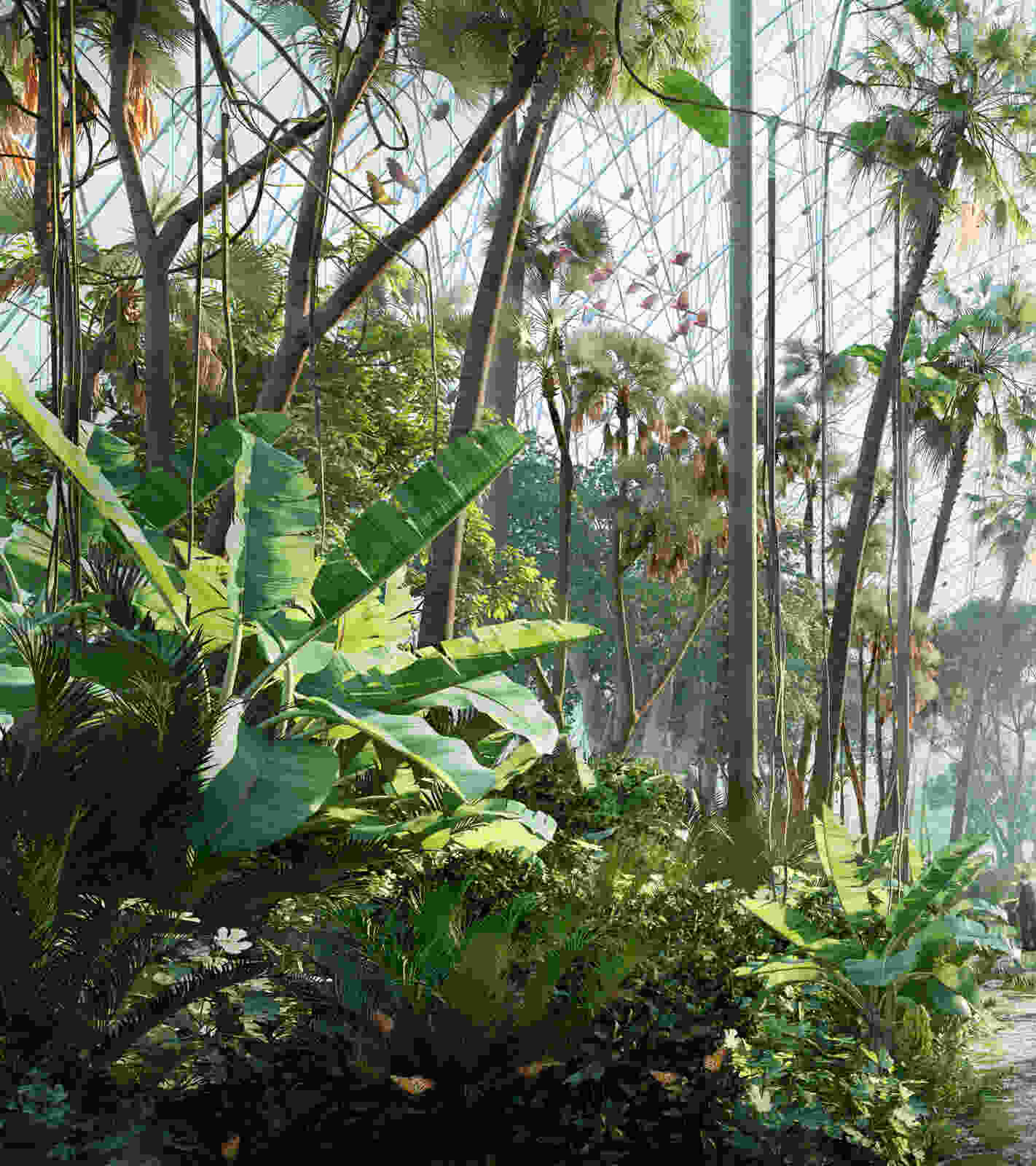 420 DMAA Greenhouse vis 007 01a The Natural Rainforest