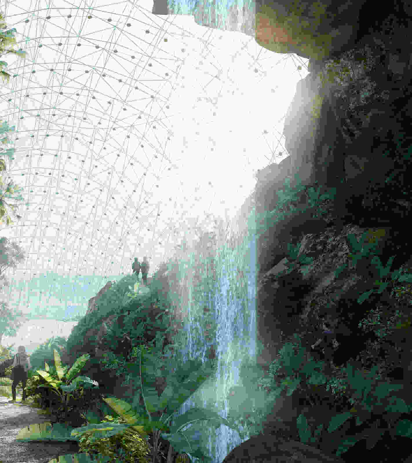 420 DMAA Greenhouse vis 007 02a The Natural Rainforest