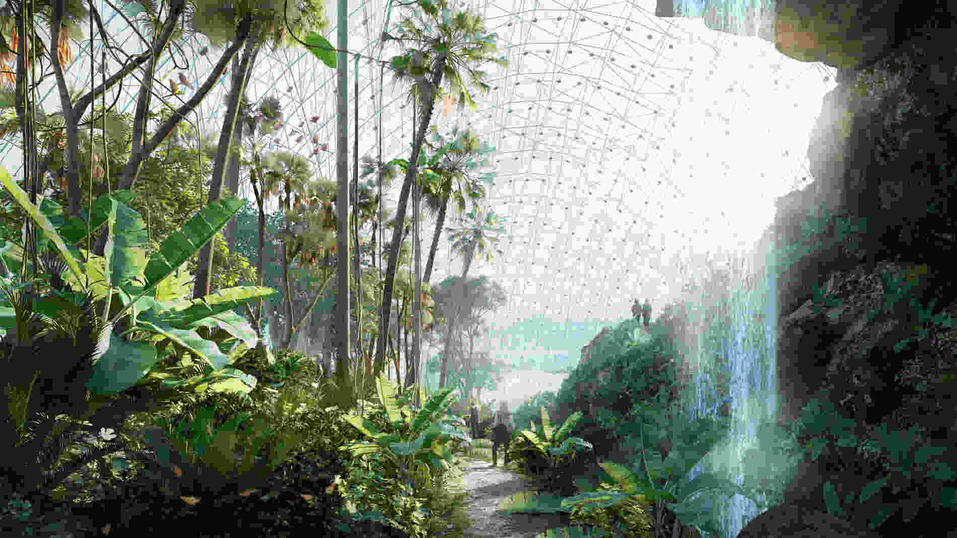 420 DMAA Greenhouse vis 007 The Natural Rainforest