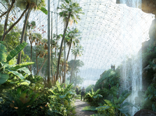 420 DMAA Greenhouse vis 007 The Natural Rainforest