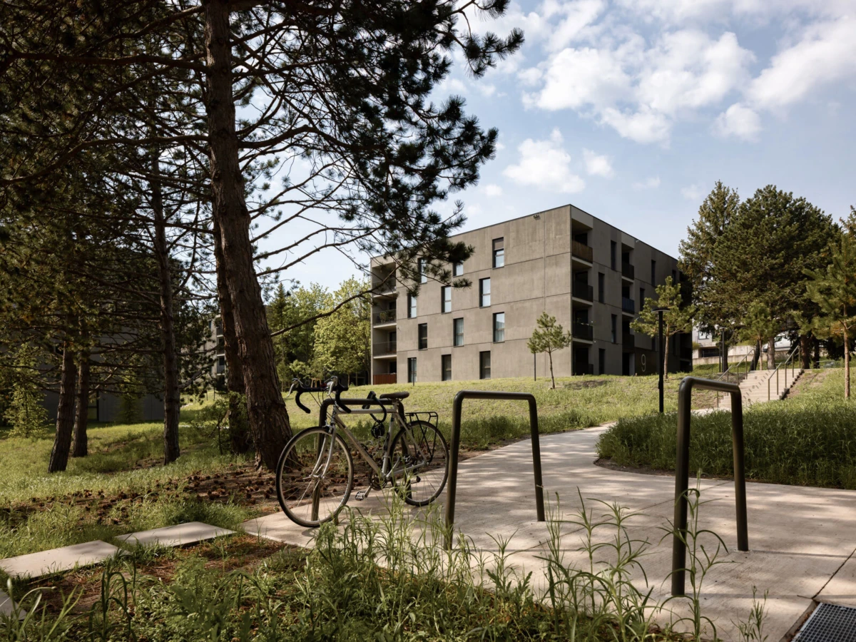Two road bicycles leaning against a bike rack on a concrete path in a residential park by a modern apartment building.