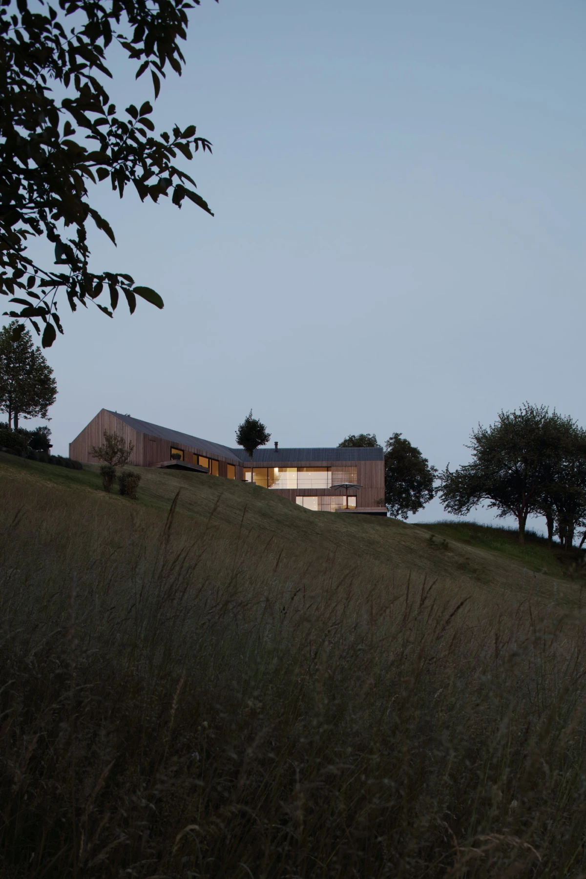 Modern wooden building with large glass windows on a grassy hillside, framed by tall foreground grasses at dusk.