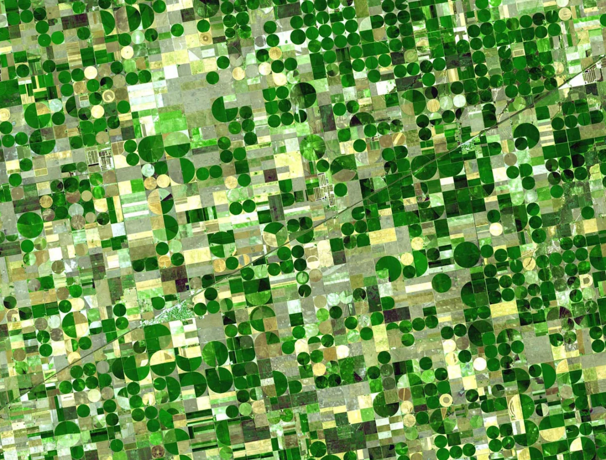 An aerial view of farmland with a patchwork of rectangular fields and numerous green circular center-pivot irrigation plots.
