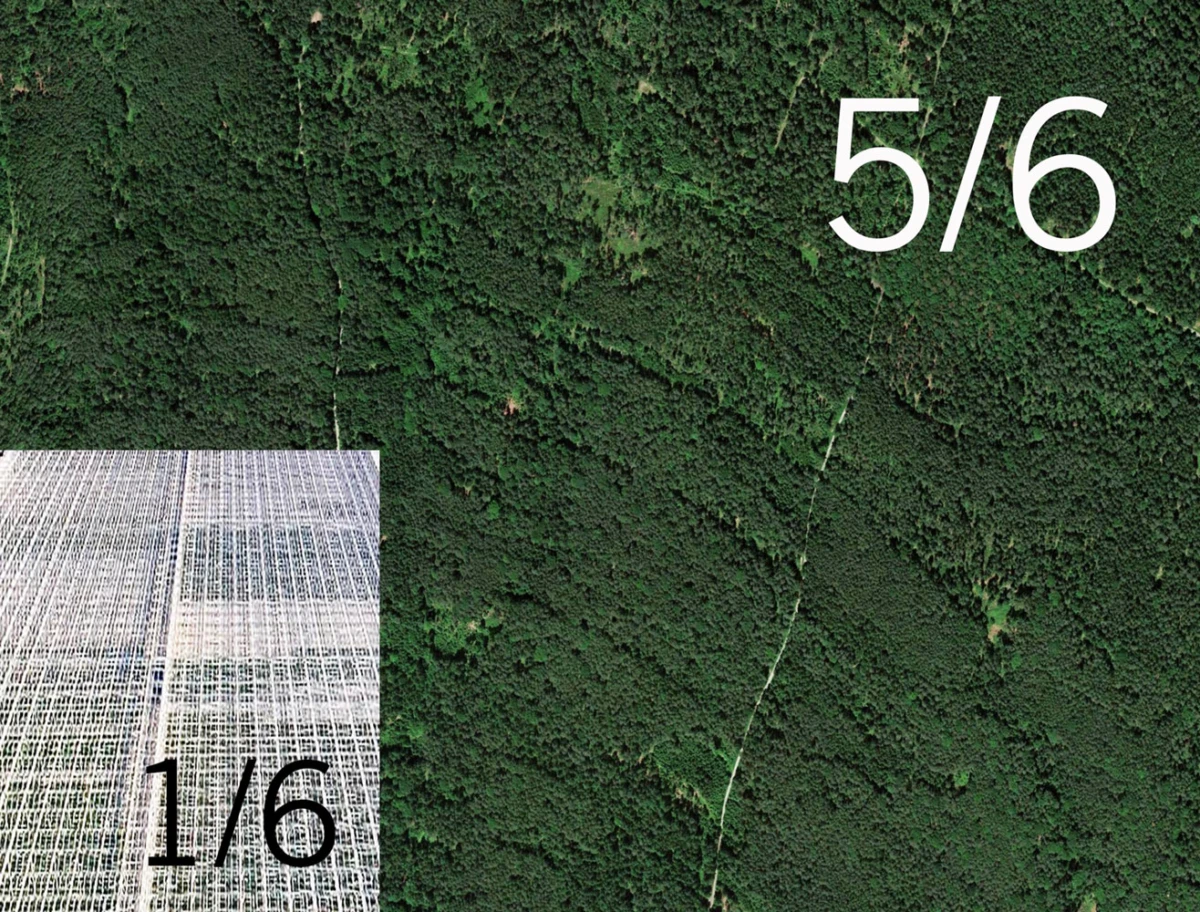 Aerial view of a dense green forest with a metal grate walkway on the left; overlaid fractions 1/6 and 5/6.