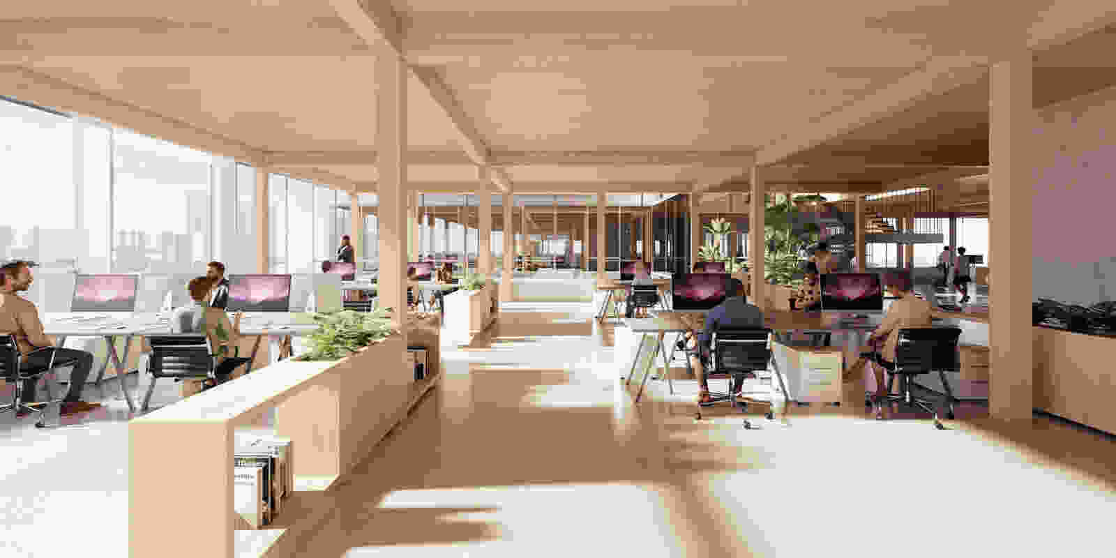 491 dmaa vis 11 A1 office space