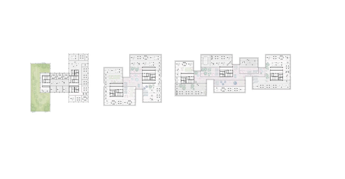 Long, multi-wing architectural floor plan of interconnected building blocks with corridors; green lawn area on the left.
