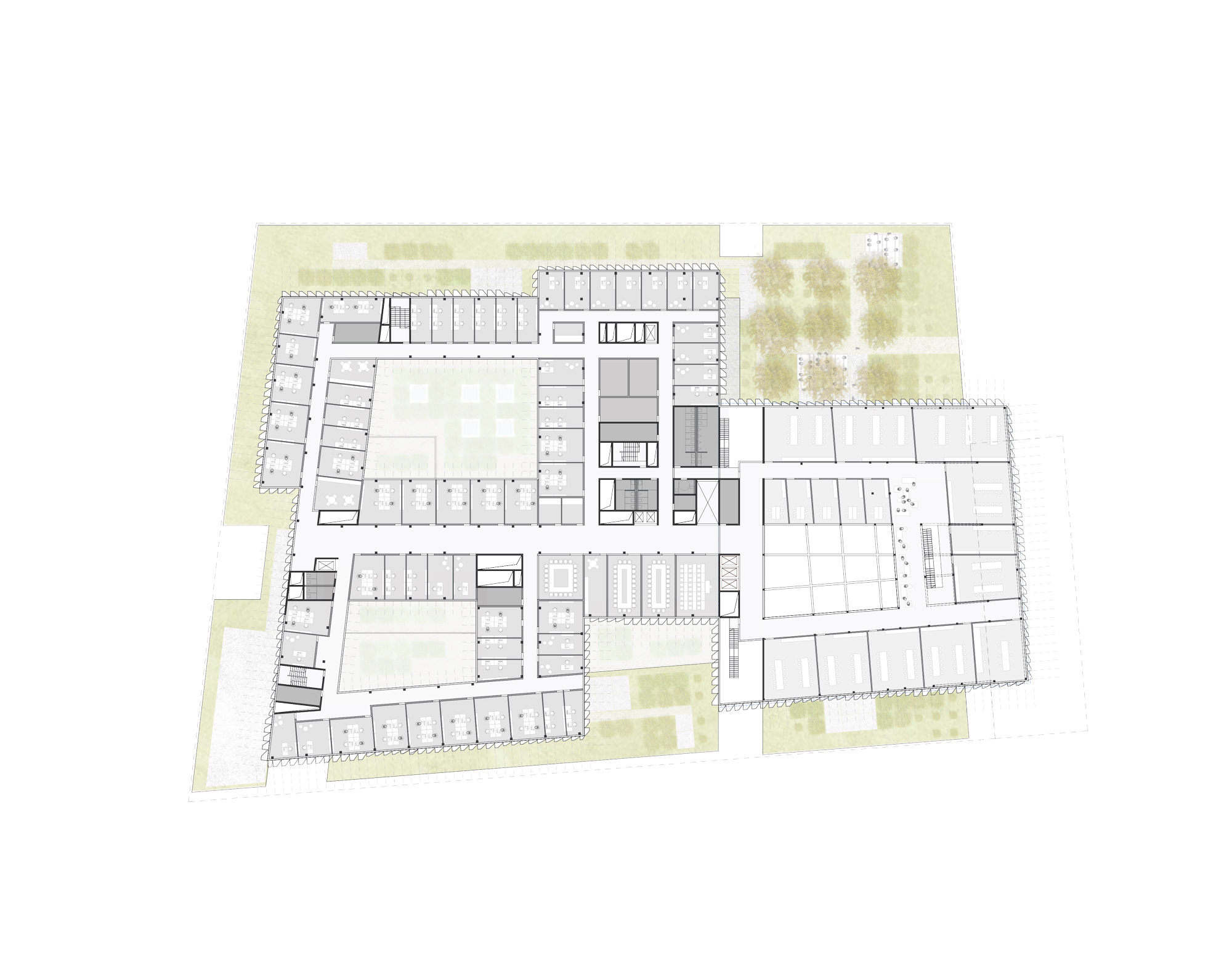 502 DMAA GCP plan a floor plan level 05