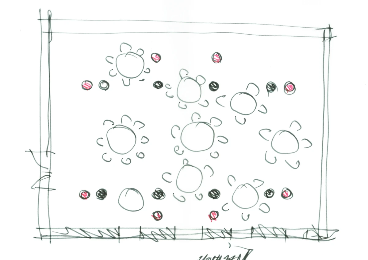 Sun shapes with radiating rays inside a bordered rectangle; pink and black dots scattered.