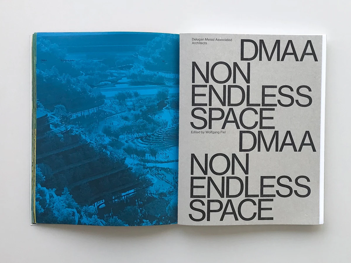 Open book spread: left page blue-toned landscape photograph; right page shows large bold text DMAA NON ENDLESS SPACE.
