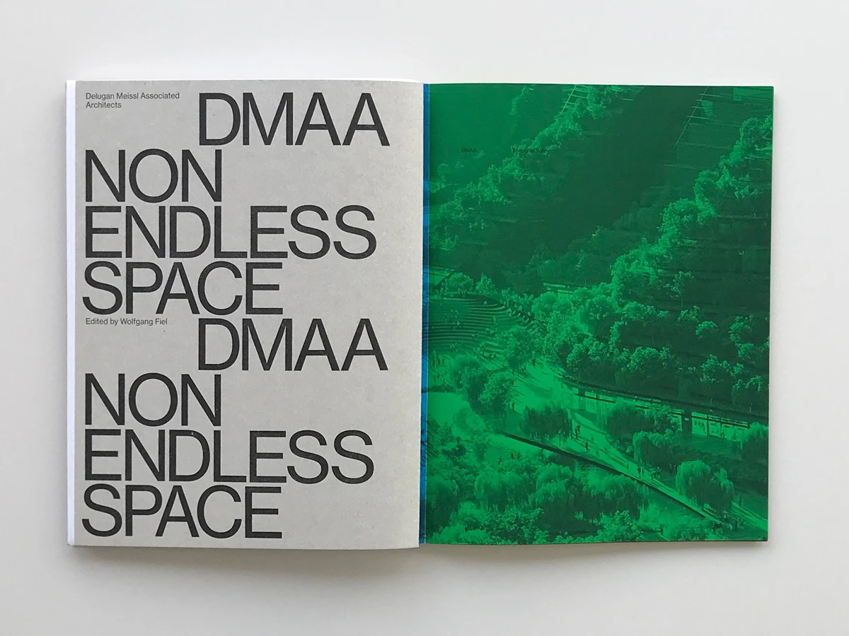 Open book spread on white surface; left page gray with large DMAA NON ENDLESS SPACE text, right page green-tinted landscape photo.