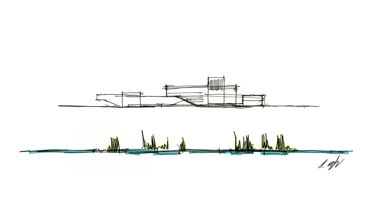 Line drawing of a modernist building above a shoreline, with a marsh of green reeds and blue water.