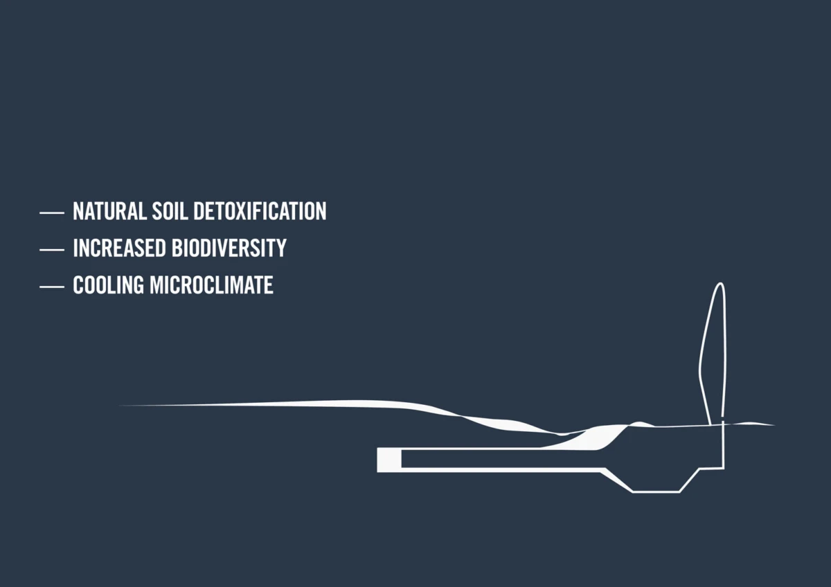 Infographic showing ecological benefits: soil detoxification, biodiversity, cooling microclimate; abstract white line diagram on dark blue.