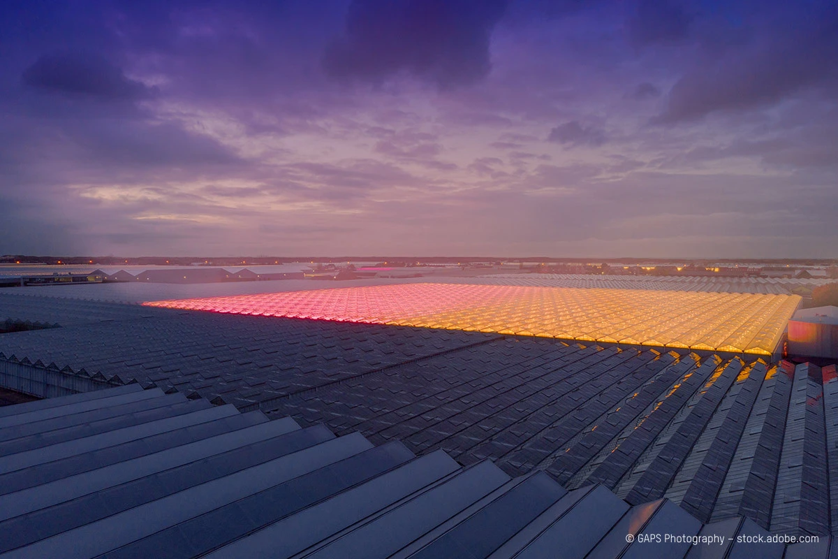 Large solar-panel array on an industrial rooftop at sunset; a pink-orange illuminated section spans the middle.